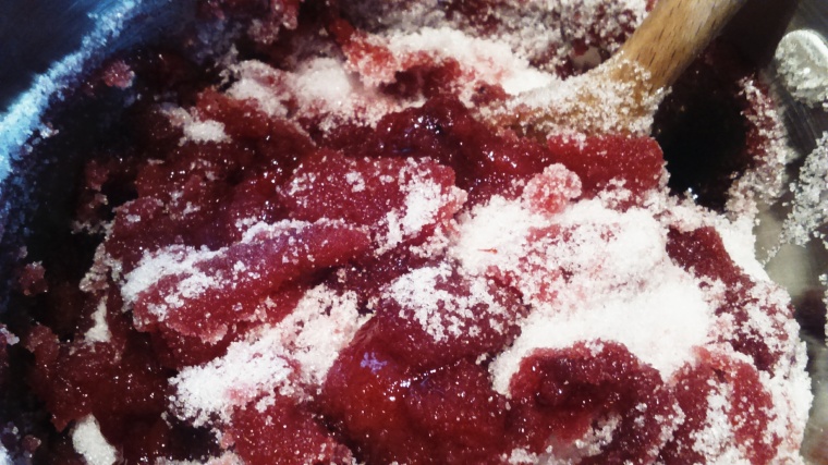 making homemade summer plum jam
